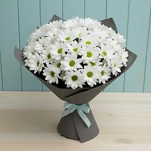 Букет цветов из:  Хризантемы в Таксимо