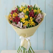 Букет цветов из:  Альстромерии #REPLACE_PRED# Таксимо