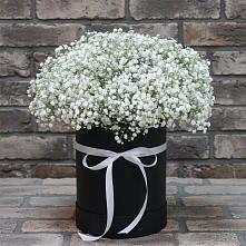 Цветочная композиция из Гипсофила в шляпной коробке в Таксимо