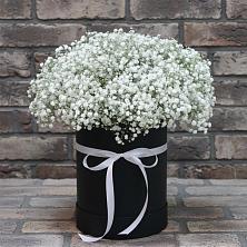 Цветочная композиция из Гипсофила в шляпной коробке в Таксимо