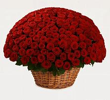 Премиум букет из: Розы в Таксимо